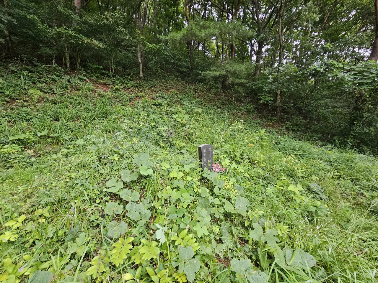 숲 가장자리 경사면의 작은 비석과 봉분, 풀이 자란 상태