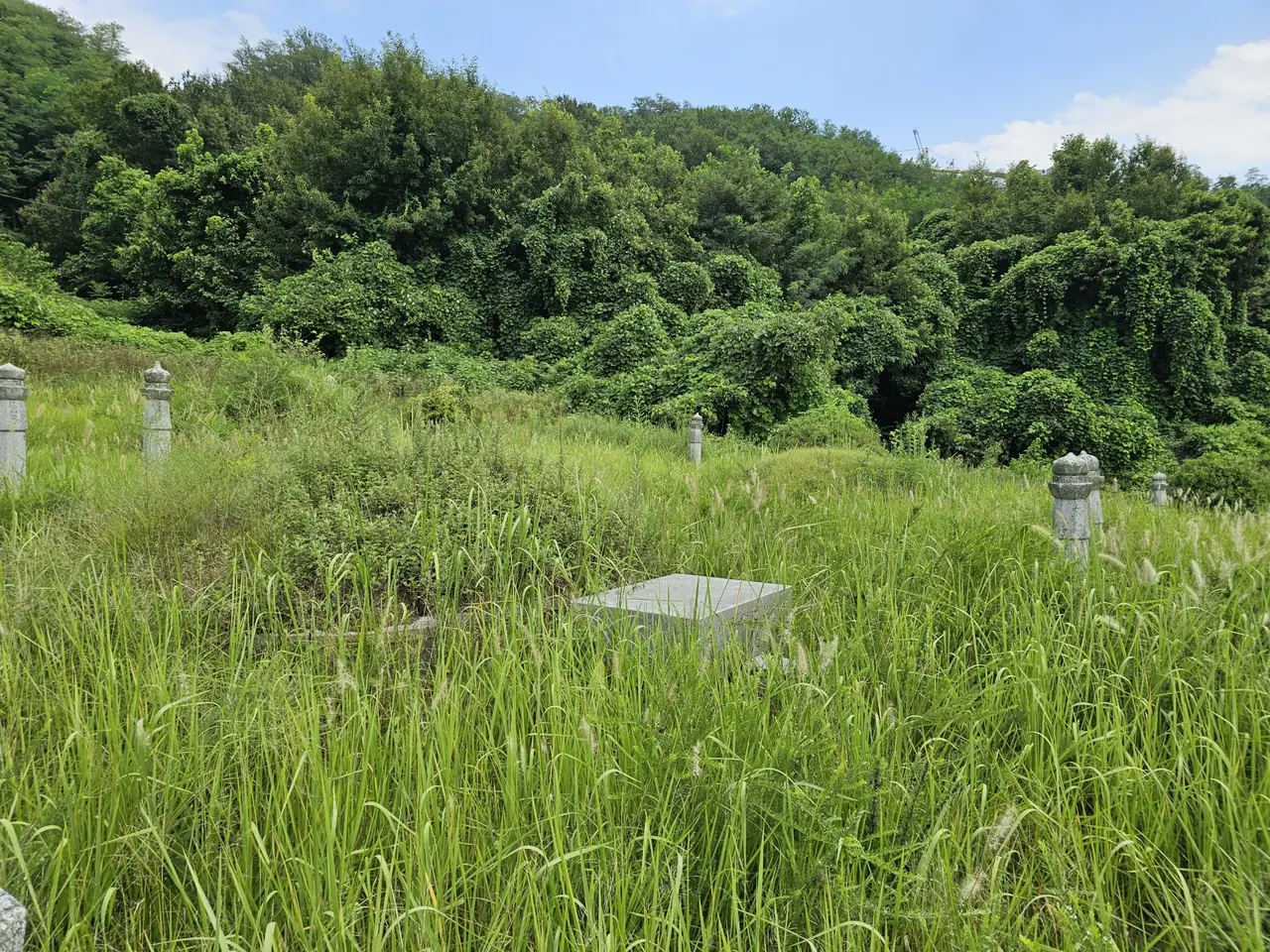 상석과 봉분이 있는 묘역, 작업 전