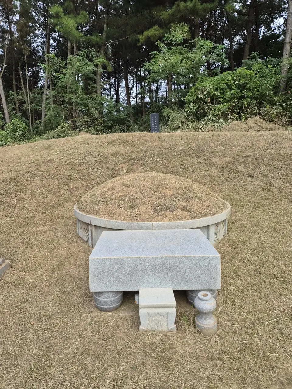 숲 가장자리 풀밭과 상석이 있는 봉분, 풀을 벤 뒤 모습