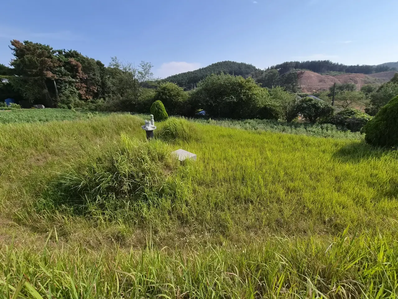 작은 상석이 있는 둥근 봉분, 작업 전